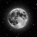 gelberaberaglayak avatar