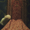 gelecektekisevgiliyenotblog avatar