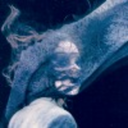 gelidustsarista avatar