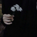 gelmemeyegittin avatar