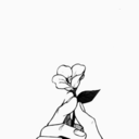 gemini-meimei avatar