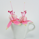 geminiforlife avatar