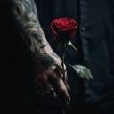 geministargazing avatar