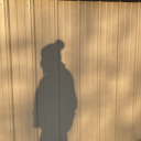 geminivenusstan avatar