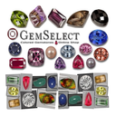 gemselect avatar