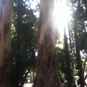 gemytlig-blog avatar