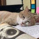 genas-efflorescence avatar