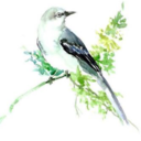 gender-questioning-nerd avatar