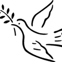 genderandpeace avatar