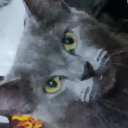 genderisoverrated avatar