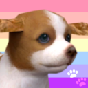 genderkennel avatar