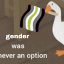 genderstealeroffical avatar