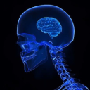 gendiebrainrotreceipts2 avatar