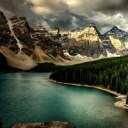 genegreyschool avatar