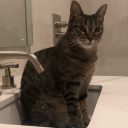 general-goods avatar