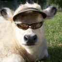 general-kenobi357 avatar