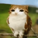 generalcloudhopper avatar