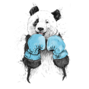 generalcooki avatar