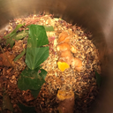 generalistherbalist avatar