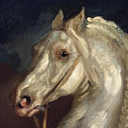 generalstallion avatar