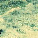 generation-insane avatar