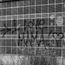 generationgottlos avatar