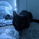 generationxrat avatar