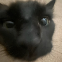 generic-irony-blog avatar