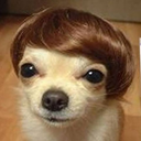 genericbl0gger avatar