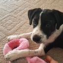 generouslyangrystrawberry avatar