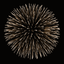 generouspartyhoagieshoe avatar