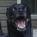 generoussublime159 avatar