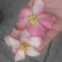 generoustastemakerturtle-blog avatar