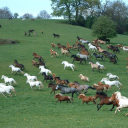 genesis3colon19 avatar