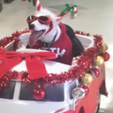 genevievenotpadalecki avatar