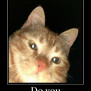 gengar-is-no-1 avatar