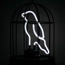 geniuskastuff avatar