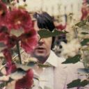 gentilalouette avatar