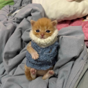 gentle-and-kind avatar