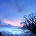 gentle-but-less-man avatar