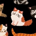 gentle-observation avatar