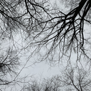 gentle-writes avatar