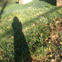 gentlefellow0 avatar