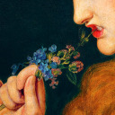 gentlemanjuniper avatar