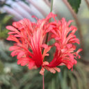 gentlemenfarmer07 avatar