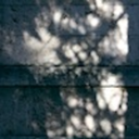 gentlemorningrain avatar