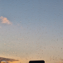 gentleobservations avatar