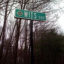 genvieve-of-the-wood avatar