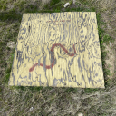 geologyandstuff avatar