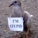 georgekush-blog avatar